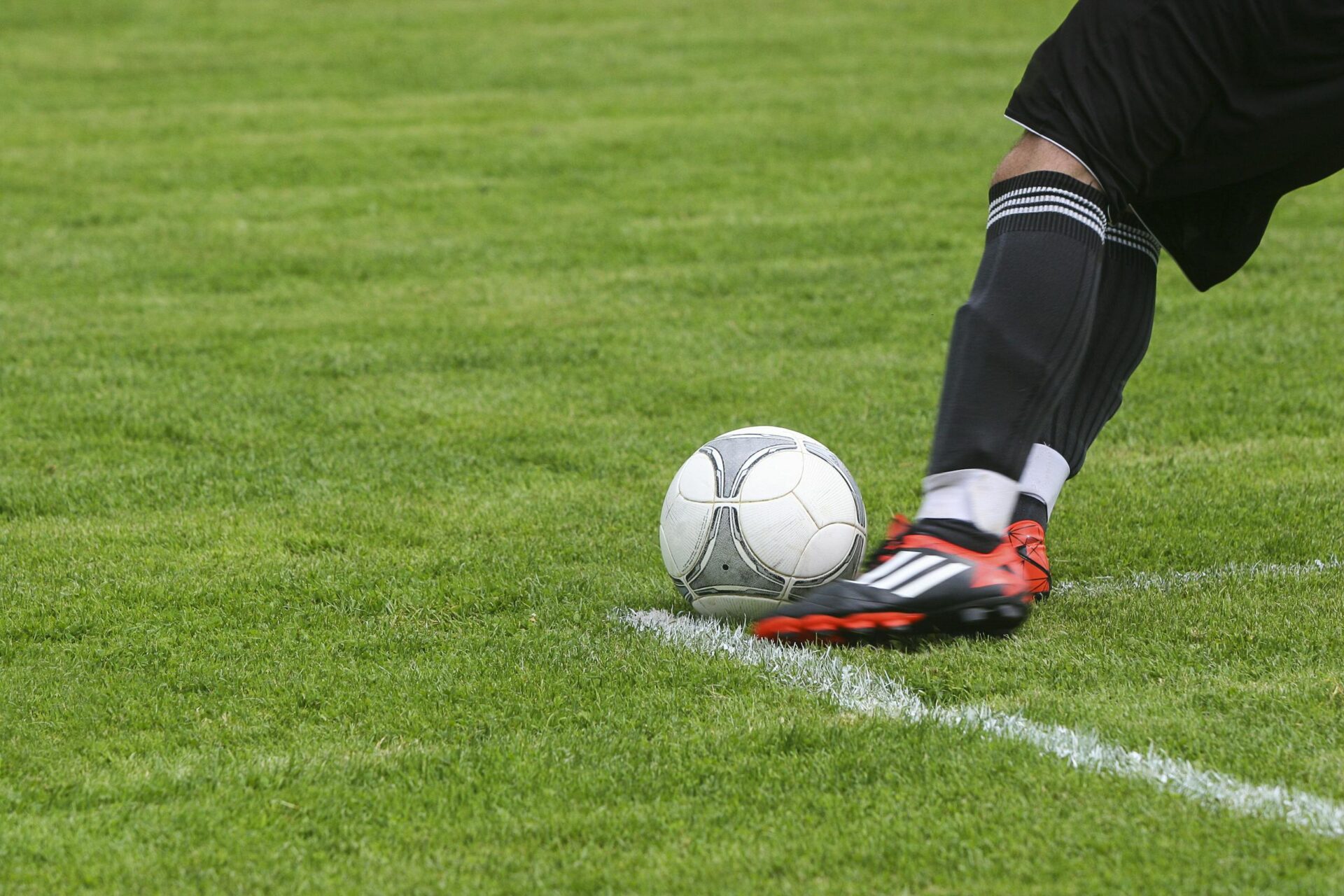Trainer und Abteilungen